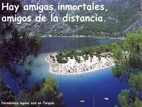 Los amigos Nos Acompañan En Distintos Momentos Amigos