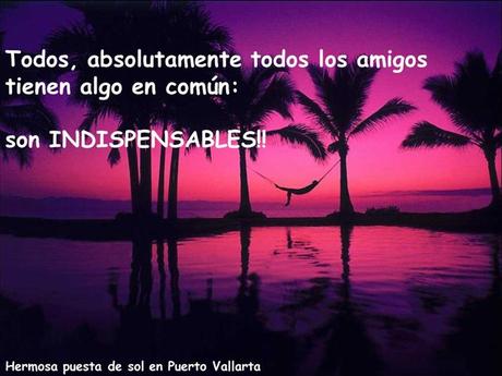Los amigos Nos Acompañan En Distintos Momentos Amigos