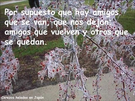 Los amigos Nos Acompañan En Distintos Momentos Amigos