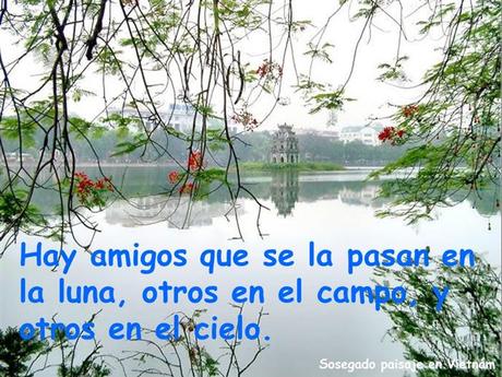 Los amigos Nos Acompañan En Distintos Momentos Amigos