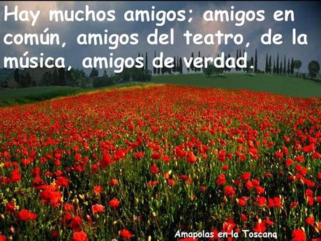 Los amigos Nos Acompañan En Distintos Momentos Amigos