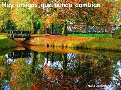 Los amigos Nos Acompañan En Distintos Momentos Amigos