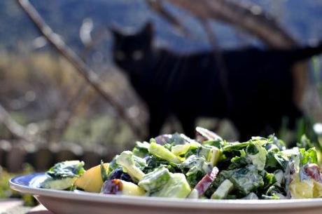 Ensalada de apio, manzana y uvas (#ColorYSabor) ensalada-de-apio-manzana-y-uvas-10