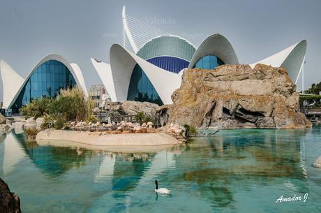 VALENCIA: CIUDAD DE LAS ARTES Y LAS CIENCIAS. PARTE III: L´OCEANOGRÀFIC (I)