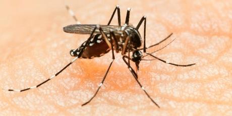 ¿Es el virus Zika una nueva amenaza del cambio climático?