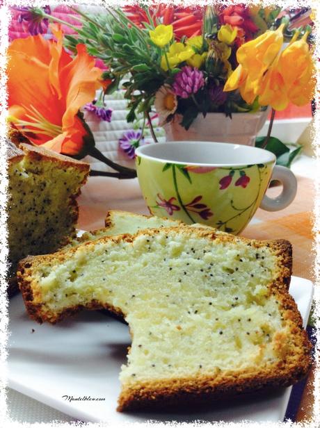 Bizcochos para el desayuno I Bizcocho con semilla de amapolas