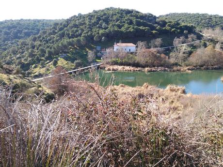 Ruta circular zona del río Aulencia | Colmenarejo