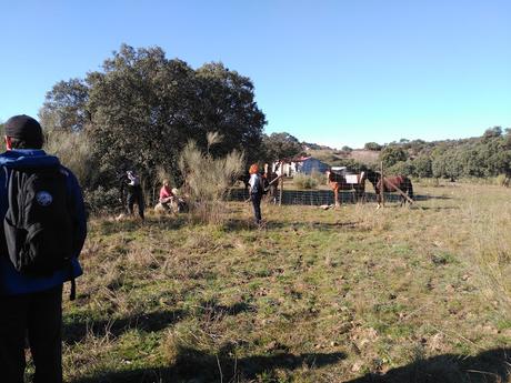 Ruta circular zona del río Aulencia | Colmenarejo