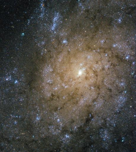 Buscando chorros de energía y explosiones en NGC 7793