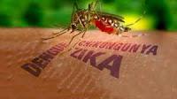 Los Retos que Plantea la Epidemia por el Virus Zika