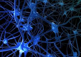 ¿Qué significa soñar con neuronas? sueño con neuronas