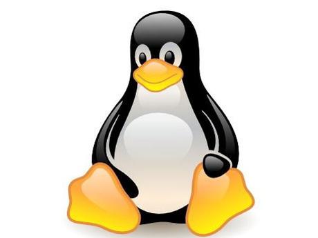 Un estudio afirma que la piratería perjudica la adopción de Linux Un estudio afirma que la piratería perjudica la adopción de Linux