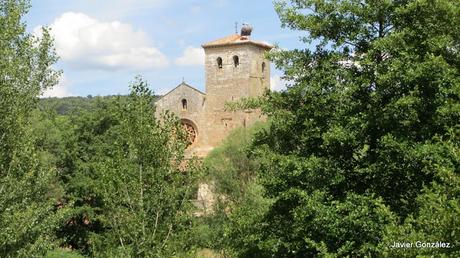 Burgos. Covarrubias.Colegiata