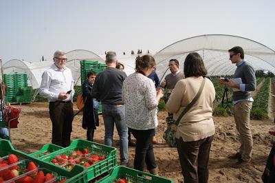 PASTA CON TOMATE PICANTE PASTA CON TOMATE PICANTE