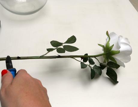 UN CENTRO DE MESA PERFECTO EN 15 MINUTOS UN CENTRO DE MESA PERFECTO EN 15 MINUTOS