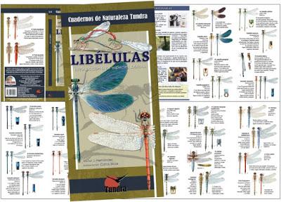 YA DISPONIBLE: Libélulas. Introducción a las especies ibéricas