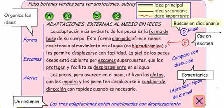 Técnica de estudio: aprender a subrayar Técnica de estudio: aprender a subrayar