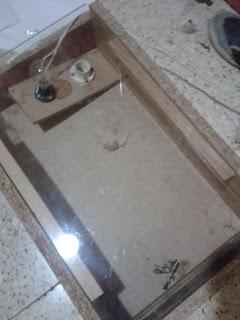 Tutorial: pintar camisetas Tutorial: pintar camisetas