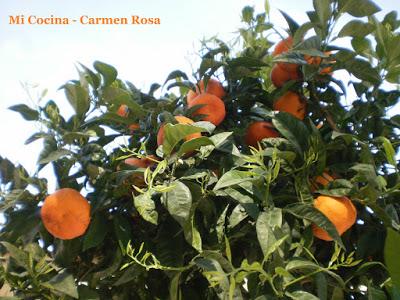 SOLOMILLO EN SALSA DE NARANJAS DE MALAGA SOLOMILLO EN SALSA DE NARANJAS DE MALAGA