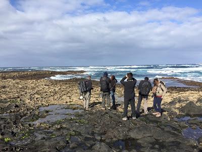 Día Mundial de Los Humedales en Fuerteventura