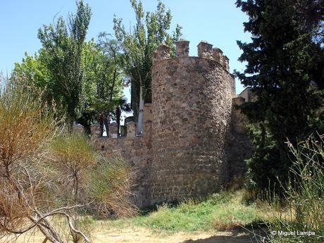 Alcázar de rostro duro Alcázar de rostro duro
