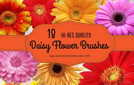 18 Daisy Flower Photoshop Brushes