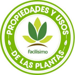 ACEITE ESENCIAL DE LAVANDA ACEITE ESENCIAL DE LAVANDA