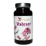 Valeriana , sus propiedades y beneficios