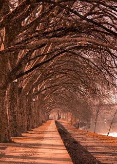 UN DÍA DESPERTÉ DE TANTOS SUEÑOS... UN DÍA DESPERTÉ DE TANTOS SUEÑOS...
