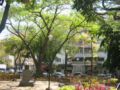 EL RECREO - PLAZA LAS DELICIAS SIN LUZ Y SIN MANTENIMIENTO LA JARDINERIA EL RECREO - PLAZA LAS DELICIAS SIN LUZ Y SIN MANTENIMIENTO LA JARDINERIA