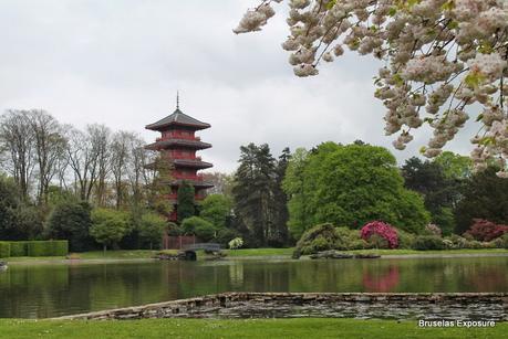 Los invernaderos Reales de Laeken