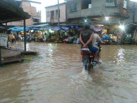 wp-1456842024933 image