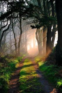 SUPONGAMOS... SUPONGAMOS...