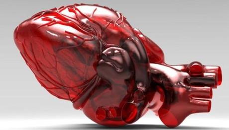 Imprimen en 3D hueso, cartílago y músculo humano a tamaño real Imprimen en 3D hueso, cartílago y músculo humano a tamaño real