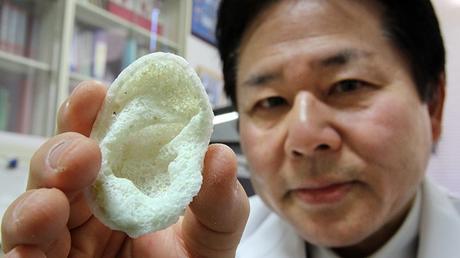 Imprimen en 3D hueso, cartílago y músculo humano a tamaño real Imprimen en 3D hueso, cartílago y músculo humano a tamaño real