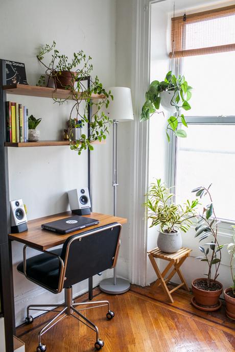Una casa repleta de plantas y de muebles midcentury