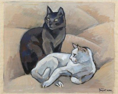 Gato blanco y gato negro