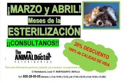 The Animal Doctor, lleva a cabo una campaña para promover la esterilización de las mascotas estirilización