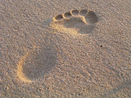 Voy a seguir Voy a seguir