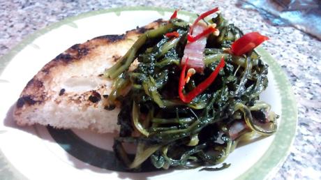 Achicoria con panceta - Achicoria verde cocida - Cicorie con pancetta - Chicory and bacon recipe achicoriapanceta4