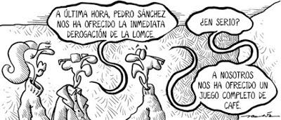 Investidura fallida, Sánchez se atascó en la segunda, Otegi salió libre, un cura mató a una cigüeña y se rodó  “Pájaro blanco”, un primer cortometraje.