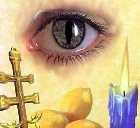 La superstición como práctica evolutiva 68bb4282dd7eb31f59f0f1a106411f91