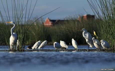 Laguna de Monte (marzo 2016)