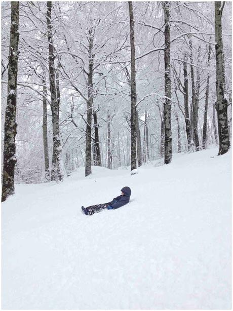 UN HOSTAL Y NIEVE CERCA DE PAMPLONA