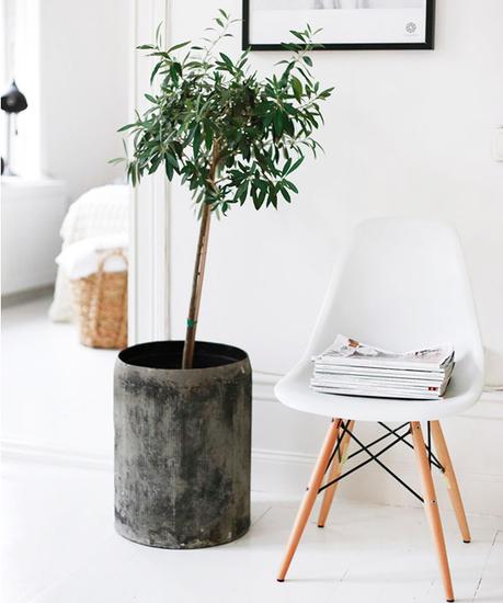 TIPS DECO: 10 IDEAS PARA TENER UN HOGAR ORDENADO, SOSEGADO Y AGRADABLE TIPS DECO: 10 IDEAS PARA TENER UN HOGAR ORDENADO, SOSEGADO Y AGRADABLE