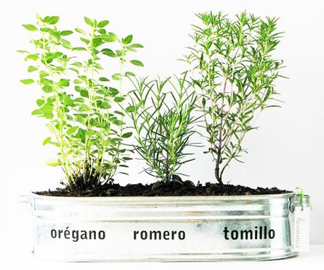 TIPS DECO: 10 IDEAS PARA TENER UN HOGAR ORDENADO, SOSEGADO Y AGRADABLE TIPS DECO: 10 IDEAS PARA TENER UN HOGAR ORDENADO, SOSEGADO Y AGRADABLE