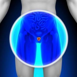 6 medicamentos para la próstata ¡Totalmente naturales!