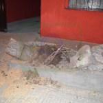 Fuertes vientos derriban árboles y postes en San Luis Potosí Fuertes vientos derriban árboles y postes en San Luis Potosí