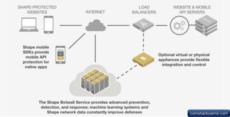 Malware polimórfico y cómo evoluciona para infectar tu sistema Malware polimórfico y cómo evoluciona para infectar tu sistema