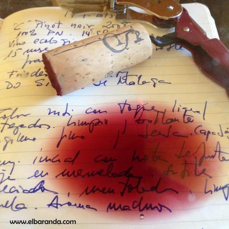 De copa en boca: “C” F. Schatz Pinot Noir 2008 En copa Pinot Noir 2008